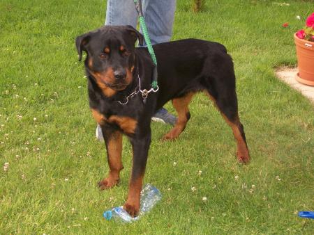 ETHAN notre gros pepere!!!